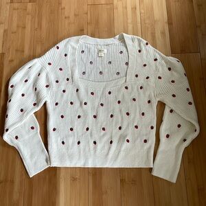 Anthropology Strawberry Sweater